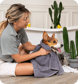 Pet grooming